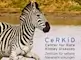 CeRKiD